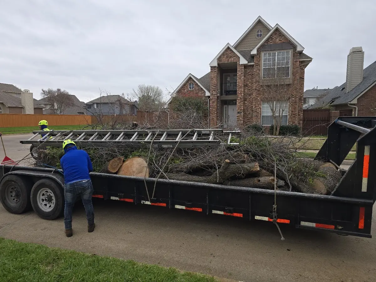Expert Tree Pest Control with proper safety equipment in Grand View